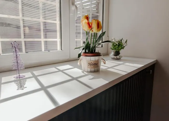 Place Appartmento Metro Laurentina * Rome